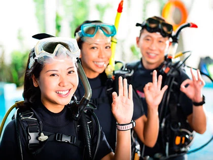 Check out our range of PADI dive courses