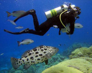 PADI Adventure Diver with Dive The World Thailand