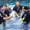 Thailand PADI Open Water Diver pool training
