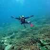 Adventure Diver in Krabi - Peak Performance Buoyancy