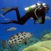 An Enriched Air Nitrox diver in Krabi