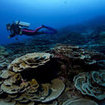 PADI Rescue Diver in Thailand - missing diver procedures