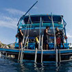 Diving remains a popular daytime activity from Koh Samui