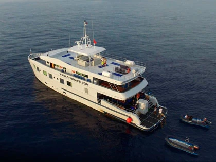 Best reviews: We reflect our customer feedback to help you make your choice. Here we highlight an option that is receiving rave reviews from divers just like you