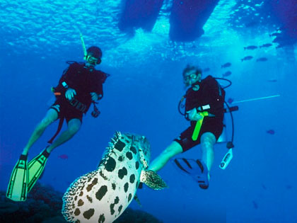 Click here for more details on this course