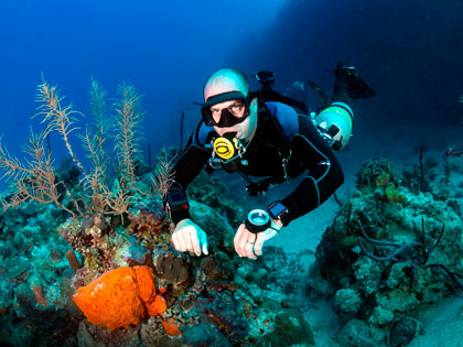 Click here for more details on this course