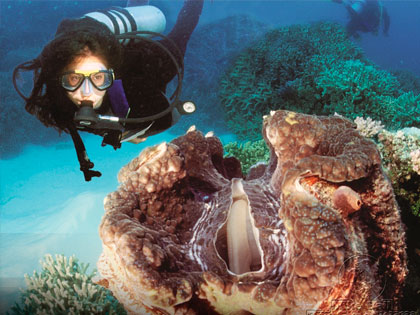 Click here for more details on this course