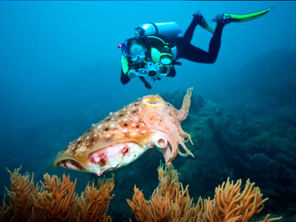 Click here for more details on this course