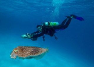 PADI Enriched Air Nitrox Specialty Course with Dive The World Thailand