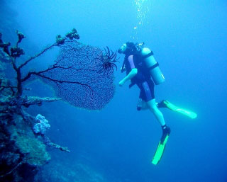 PADI Multilevel Diver Specialty Course with Dive The World Thailand - photo courtesy of Mike Greenfelder