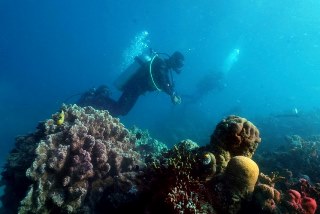Have you seen the reef? PADI Underwater Navigator Specialty Course with Dive The World Thailand