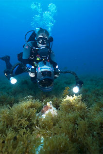 PADI Underwater Videographer - photo courtesy of ScubaZoo