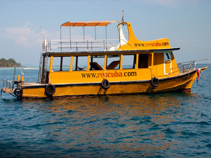 Customer choice: Our customers seem to be drawn to certain options and here we feature one which is a hot seller at the moment