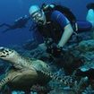 PADI Advanced Open Water Diver course at Shark Point - fish identification