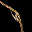 A xeno crab on a whip coral at Ang Thong National Park, Thailand