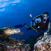 A diver photographs a turtle in Khao Lak