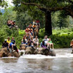 Elephant trekking from Khao Lak