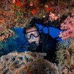 Checking the reef for macro life in Krabi