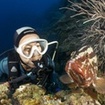 There is time to see Thai marine life during the Scuba Diver course