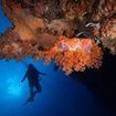 Scuba diving in Thailand