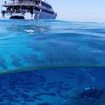 Practice your Boat Diving in Similan Island