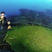 PADI Advanced Open Water Diver Course in Similan - Underwater Navigator