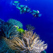 Scuba divers in Khao Lak