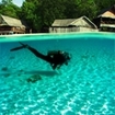 PADI Adventure Diver Course in Koh Phi Phi