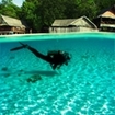 PADI Adventure Diver Course in Koh Phi Phi