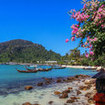 Tonsai Bay beach, Phi Phi Don